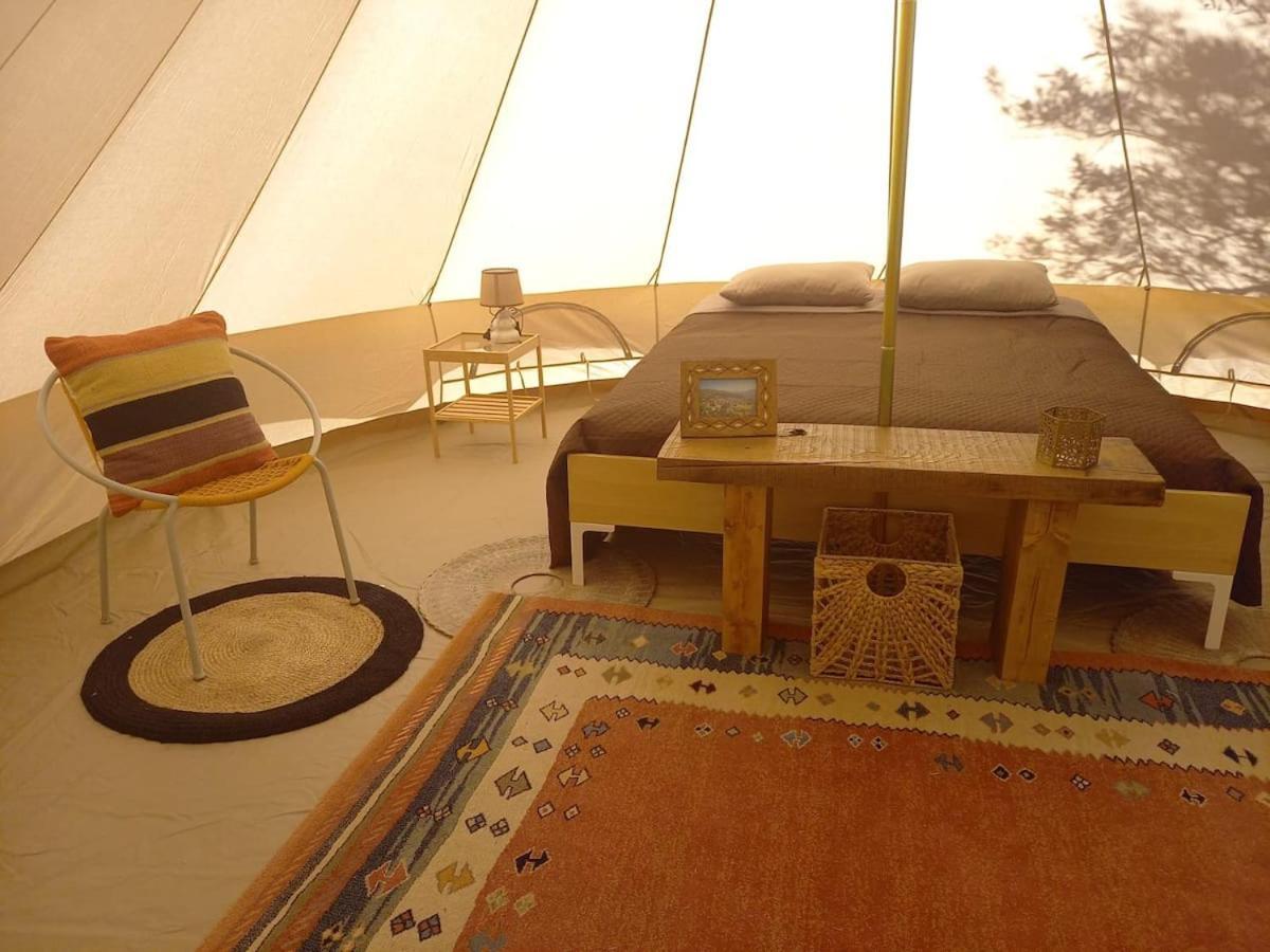 Hotel Golden Camp à Falerna Extérieur photo